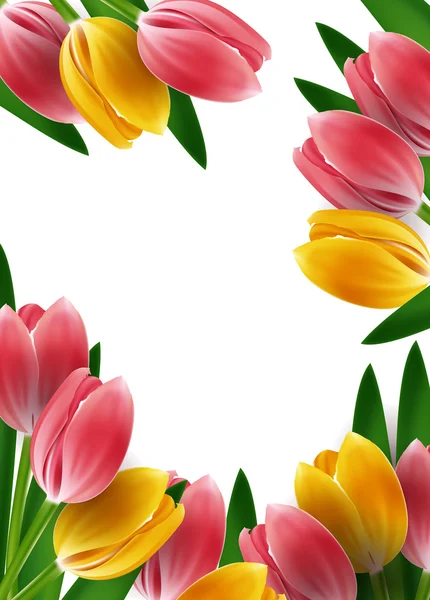 Plantilla de diseño Tulipanes o fondo — Vector de stock