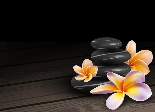 Wellness-Konzept Zen-Steine und Frangipani-Blumen — Stockvektor