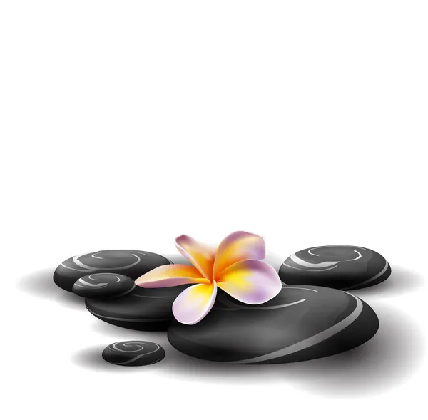 Spa concept zen stones and frangipani flowers — Stock Vector