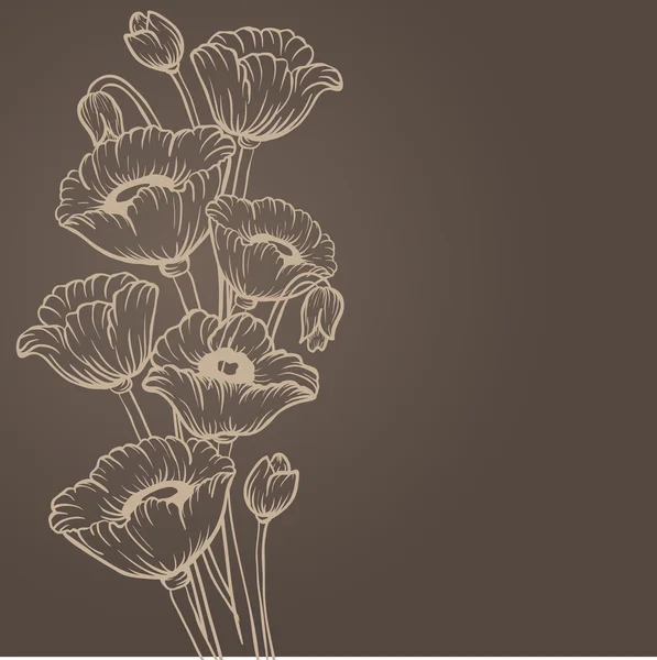 Poppy flower — Stock Vector