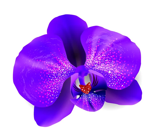 Plantilla de diseño floral elegante — Vector de stock