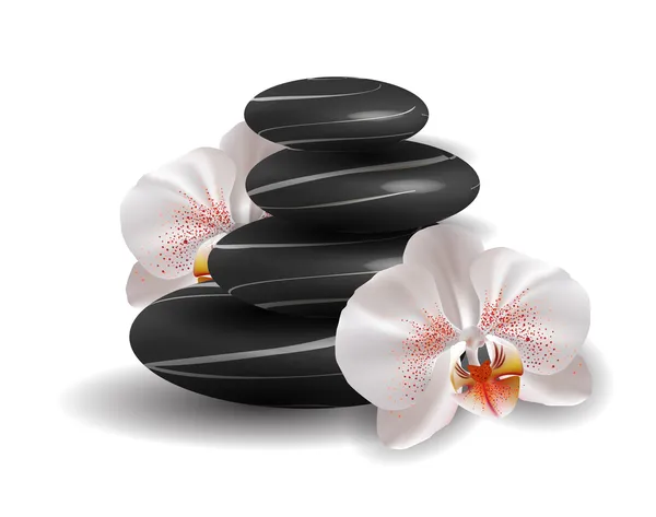 Orchideje a zen stones — Stockový vektor