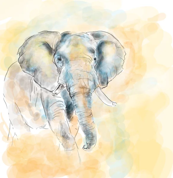 Elephant aquarelle painting imitation — Stock Vector