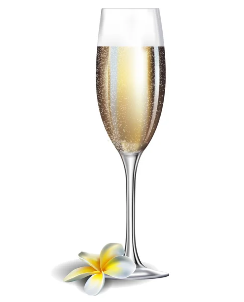 Copo de champanhe e flover frangipani isolado —  Vetores de Stock