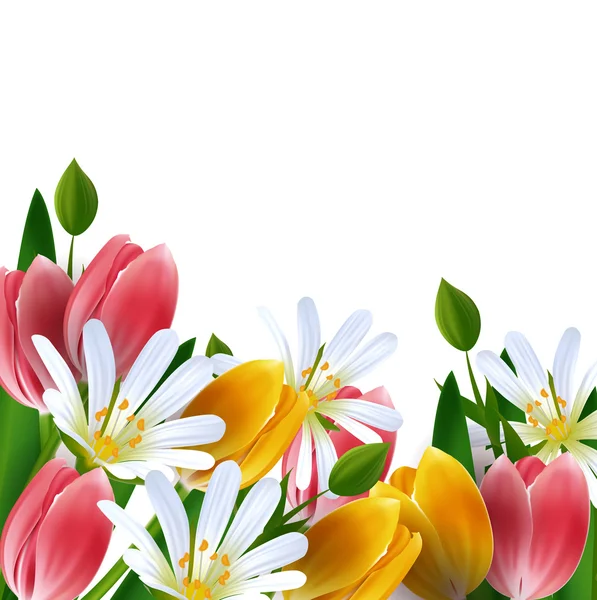 Floral background. Daisies and tulips. — Stock Vector