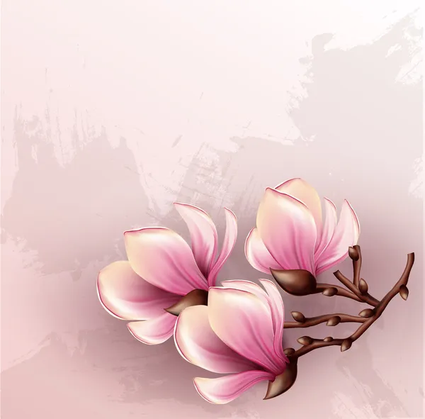 Magnolia ramo aquarela ilustração — Vetor de Stock