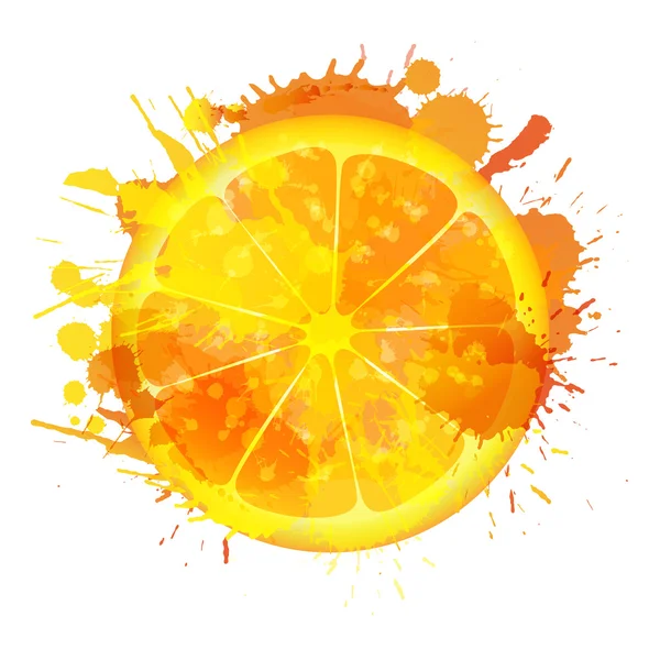 Tranche d'orange faite d'éclaboussures colorées sur fond blanc — Image vectorielle