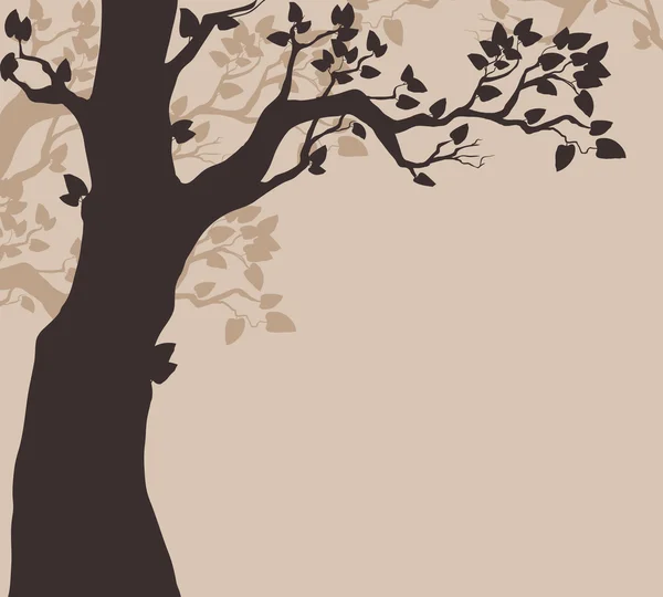 Tree silhouette — Stock Vector