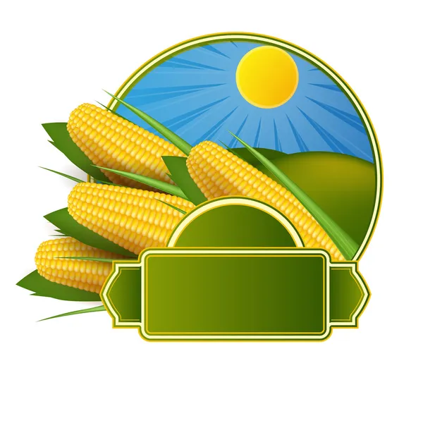 Corn cob label — Stock Vector