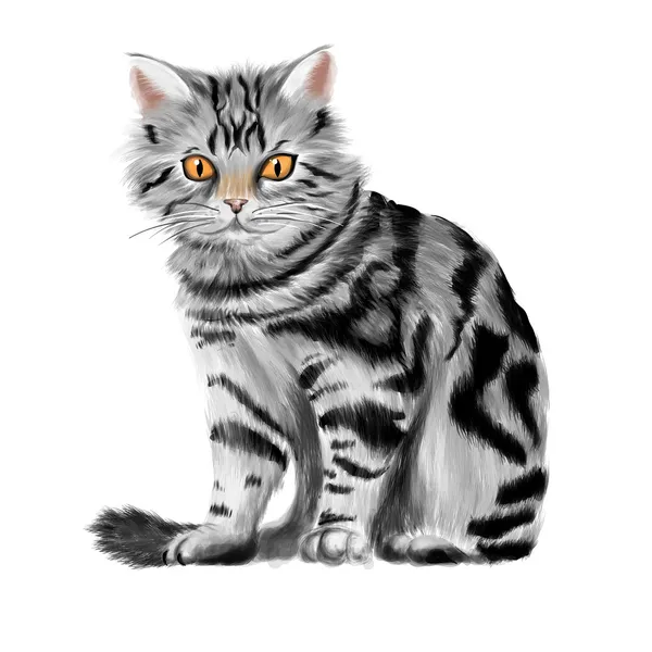 Ilustración vectorial del gatito tabby sentado — Vector de stock