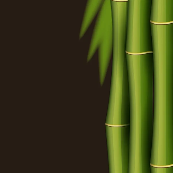 Modelo de design de bambu —  Vetores de Stock