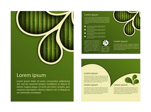 Modèle de conception en bambou — Image vectorielle