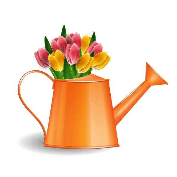 Regadera con manojo de tulipanes aislados en blanco — Vector de stock