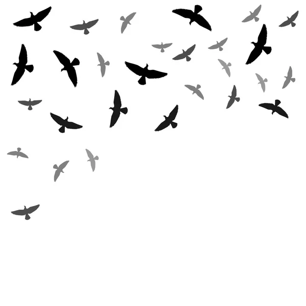 Arrière-plan avec silhouettes d'oiseaux — Image vectorielle