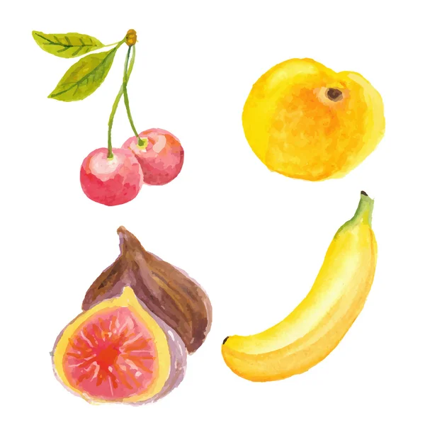 Cerises, abricots, figues et bananes. Dessiné à la main à l'aquarelle — Image vectorielle