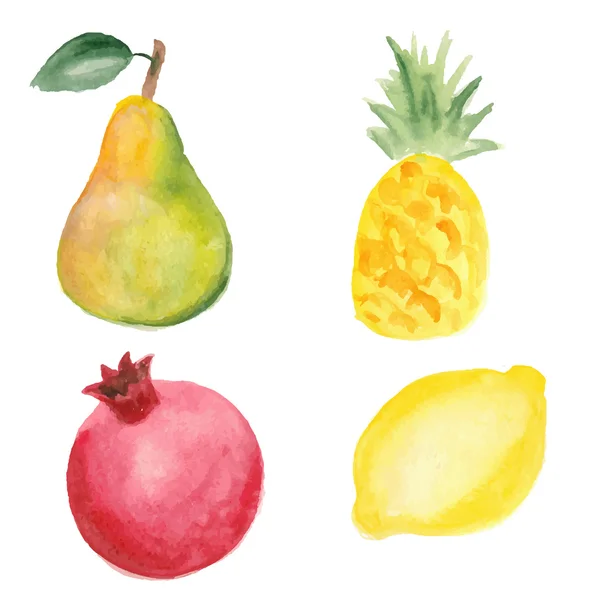 Pear, pinapple, pomegranate and lemon. Hand drawn in watercolor technique — Stock Vector