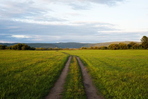 Champ d'été avec route et soleil dans le ciel bleu . — Photo