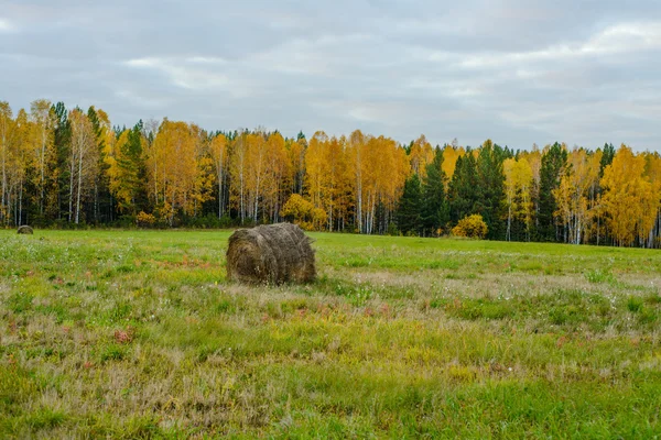Höstack i Landsfältet — Stockfoto