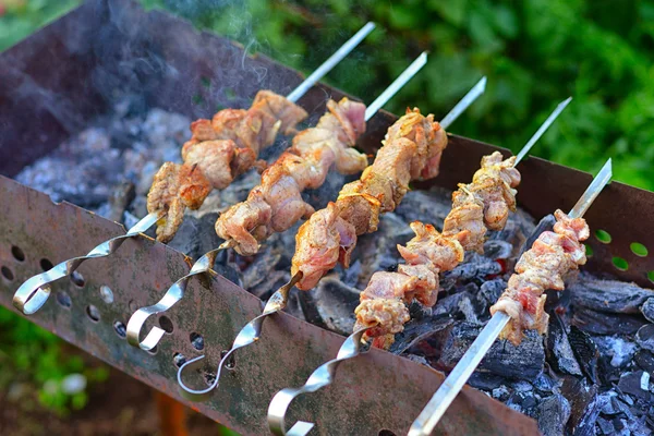 Grilled meat on a skewer — Stock Photo, Image