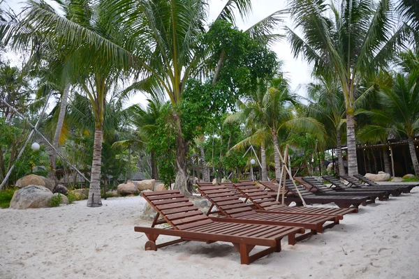 Palm resort — Stock Photo, Image