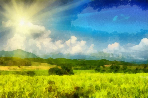 Słoneczne pola — Zdjęcie stockowe