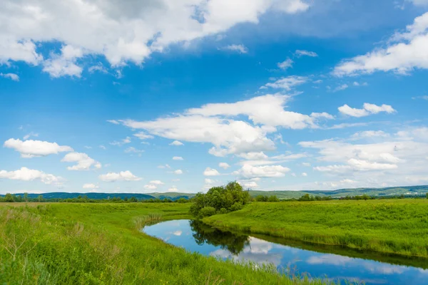 Peaceful summer rural landscape — Stock Photo, Image