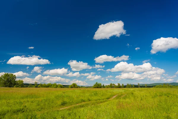 Paysage rural estival paisible — Photo