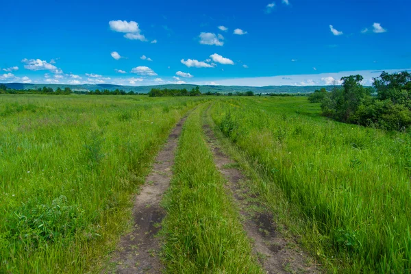 穏やかな夏の田園風景 — ストック写真