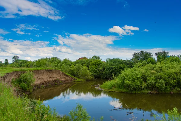 Peaceful summer rural landscape — Stock Photo, Image