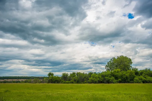 Paysage rural estival paisible — Photo