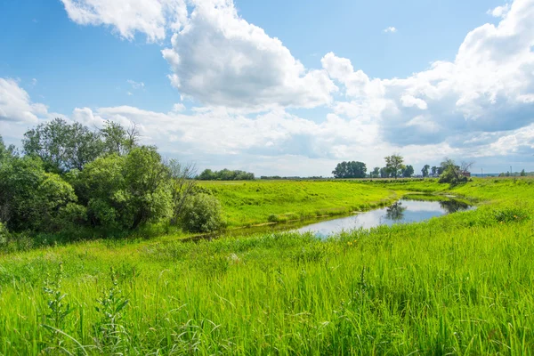 Peaceful rural landscape with river in wide field — Stock Photo, Image