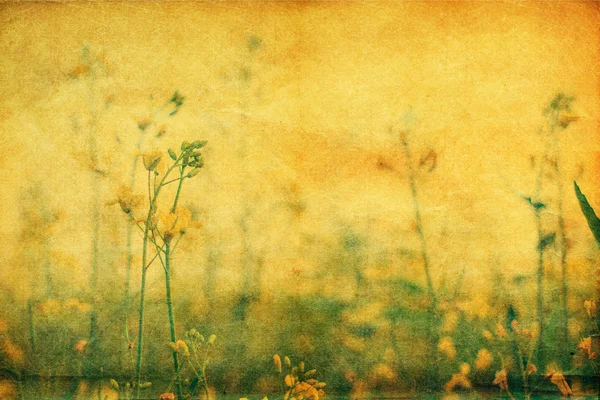 Fleurs sauvages jaunes, carte jaune de style rétro — Photo