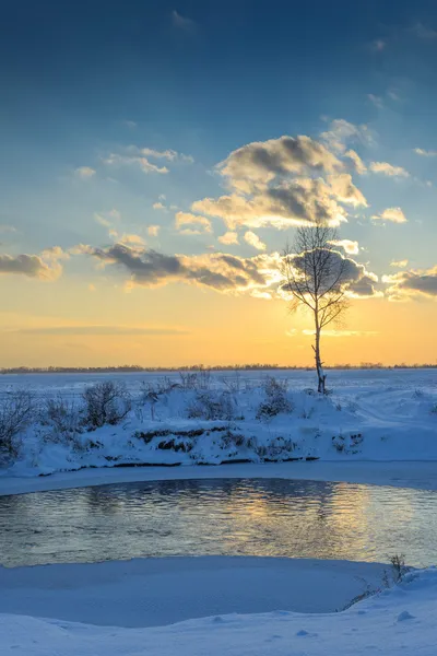 Beautiful winter landscape — Stock Photo, Image