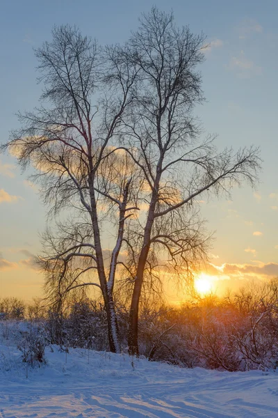 Vackert vinterlandskap — Stockfoto