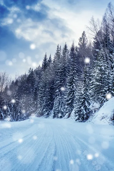 Vackra snöstorm — Stockfoto