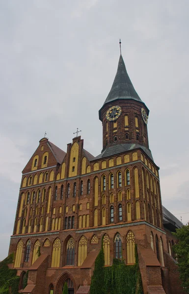 Königsbergs katedral i kaliningrad, Ryssland — Stockfoto