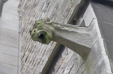 efsanevi yaratık birikintisinin benziyor