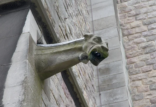 Wasserspeier sieht aus wie Fabelwesen — Stockfoto