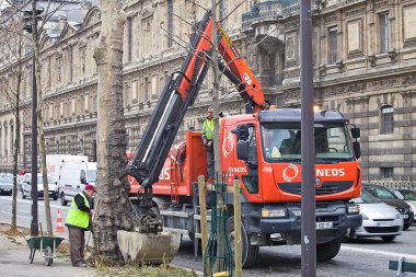 Paris peyzaj işleri