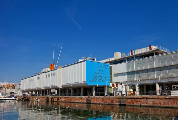 Aquarium of Genoa — Stock Photo, Image