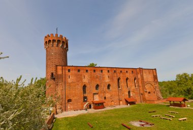 schwetz Kalesi (1350) Germen sipariş. Swiecie, Polonya 
