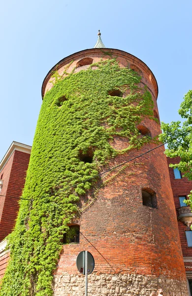 Wieża Prochowa (xvi w.) w Rydze, Łotwa. wpisane na listę UNESCO — Zdjęcie stockowe