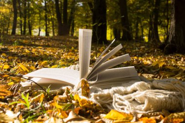 Sonbahar parkında kitabı aç, kapat..