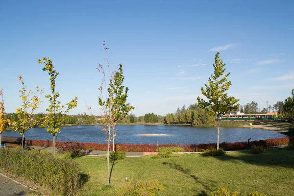 Lago Nella Foresta Alberi Autunnali Sul Lago — Foto Stock