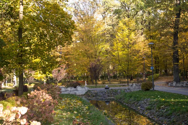 Sonbahar Parkı Sarı Yapraklar Güzel Huzurlu Bir Yer Sonbahar Manzarası — Stok fotoğraf