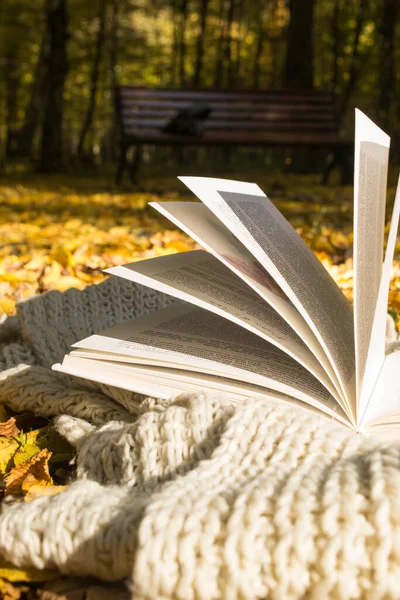 Otevřít Knihu Podzimním Parku Zavřít Stock Fotografie
