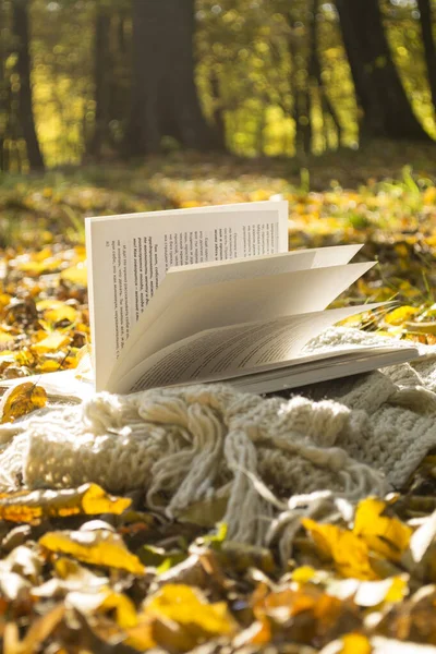 秋の公園のオープンブック 閉じる ロイヤリティフリーのストック画像