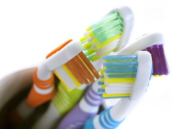 Diş fırçaları