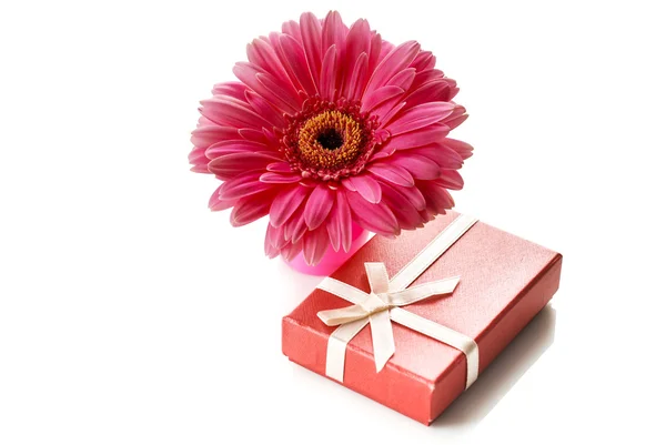 African daisy and gift box — Stock Photo, Image