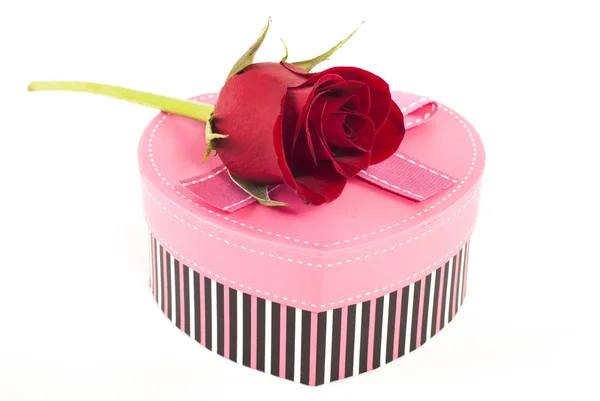 Rose and gift box — Stock Photo, Image